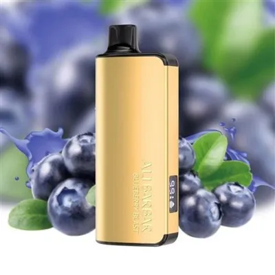 Alibarbar 9000Puffs Vape